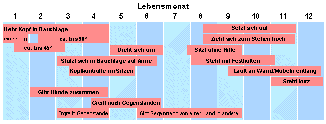 Bewegungsvorgnge im 1. Jahr