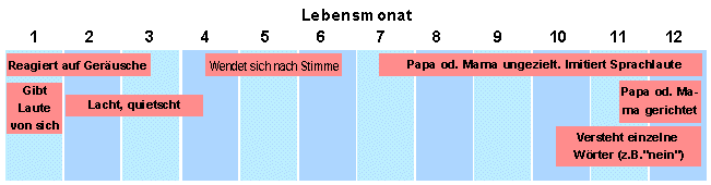 Entwicklung der Sprache im 1. Jahr