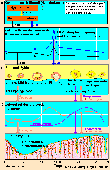 Schema der komplexen Vorgnge whrend eines Monatszyklus