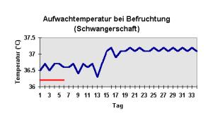 Temperaturkurve bleibt bei Schwangerschaft hoch