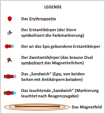 Erythropoetin Sandwich Immunoassay Legende