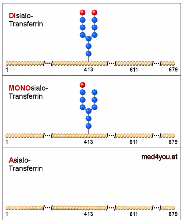 Carbohydrate-deficient Transferrine (CDT)