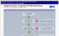 Zum Flussdiagramm: Abklrung einer Hmaturie