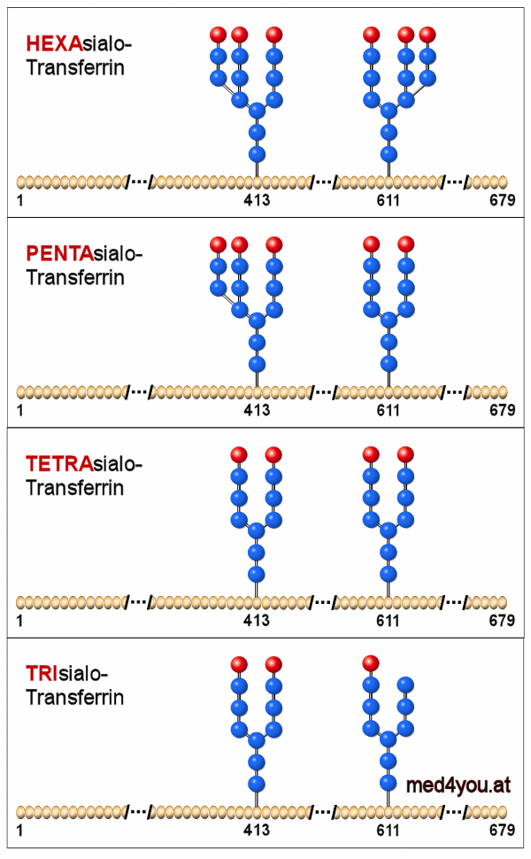 Transferrine