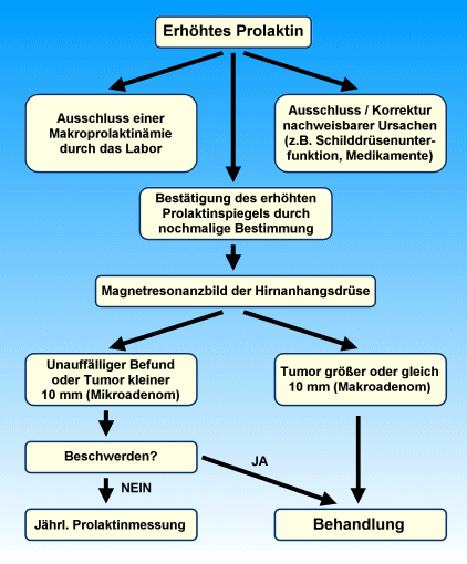 Vorgehen bei erhöhtem Prolaktin