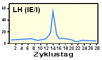 Verlauf des LH-Spiegels im Blut whrend eines Zyklus