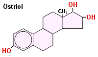 Chemische Struktur des striols: es besitzt 3-OH-Gruppen