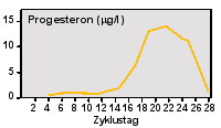 Erst in der 2.Zyklushfte steigt der Progesteronspiegel im Blut an