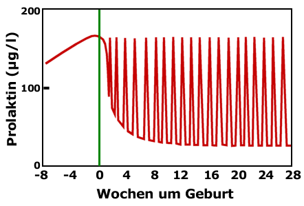 prolactin_peripartal.gif (17933 Byte)