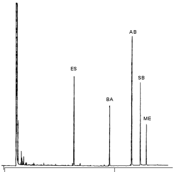 Gaschromatographische Trennung eines Gemisches von Medikamenten