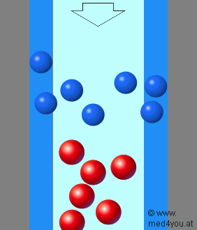 Schema der Auftrennung durch Verteilungsphnomene