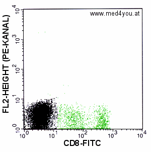 CD8_leicht_ueber_300.gif (11090 Byte)