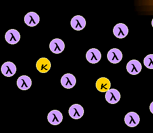 Lambda-monoklonale B-Zellen