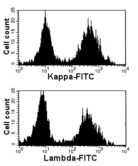 Polyclonal B-cells, real printout of single-parameter hiostograms