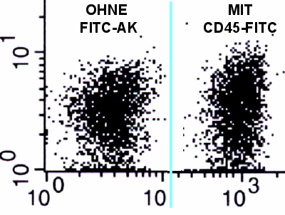 lymph_pop_ohne_und_mit_cd45.gif (30322 Byte)