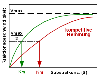 Bei der kompetitiven Hemmung ist die Bindung zum Substrat gestrt, die Kurve flacher