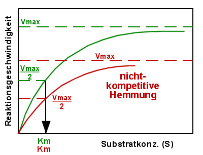 Bei der reinen nicht-kompetitiven Hemmung ist nur Vmax verndert, nicht aber Km