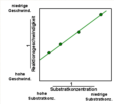 Im Lineweaver-Burk-Diagramm ergibt die Verbindung der Messergebnisse eine Gerade