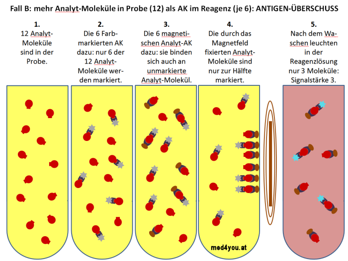 Sandwich Immunoassay: Leichter Antigenberschuss