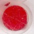 Negative Reaktion von roten Blutkrperchen auf "Bioplates"