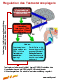 testosteron_phys_th.gif (3430 Byte)