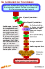 Zur Graphik zum Prinzip des Thrombotests